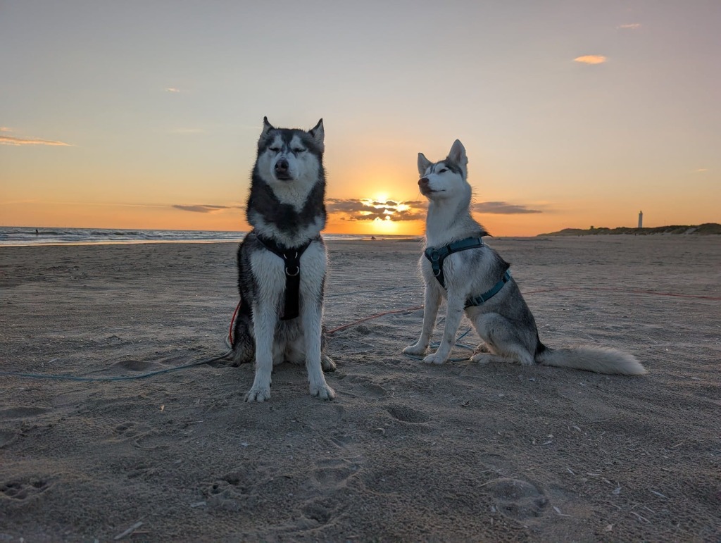 Eska und Aura am Strand